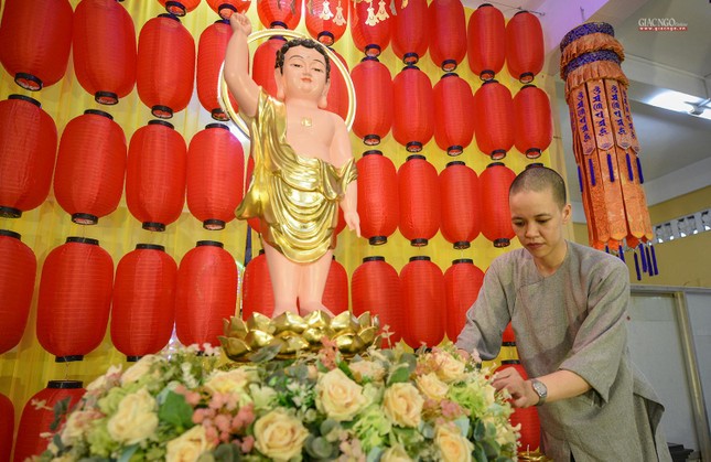 Vui thay chư Phật ra đời