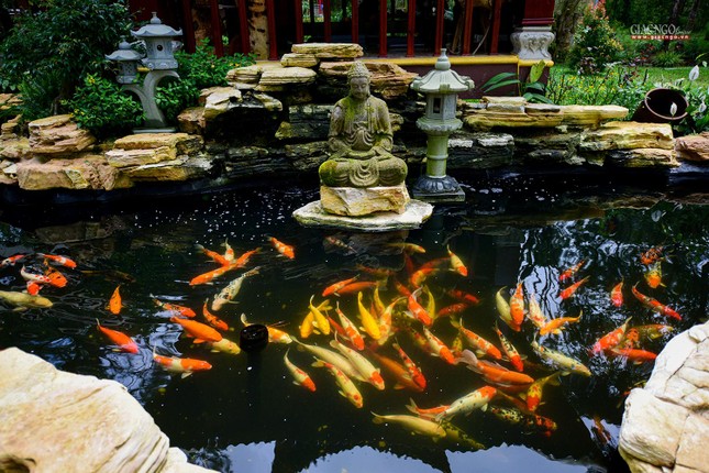 Một tiểu cảnh đầy chất thiền trong khuôn viên chùa Một tiểu cảnh đầy chất thiền trong khuôn viên chùa