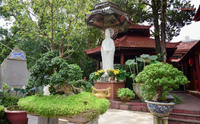 Khuôn viên chùa với tôn tượng Bồ-tát Quán Thế Âm lộ thiên Khuôn viên chùa với tôn tượng Bồ-tát Quán Thế Âm lộ thiên