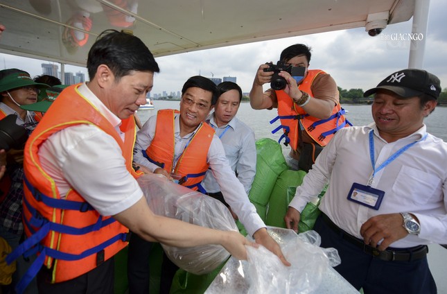 Thả cá xuống lưu vực sông Sài Gòn Thả cá xuống lưu vực sông Sài Gòn