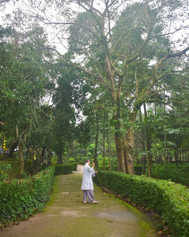 Từ sáng sớm, chư Tăng chùa Bảo Lâm đã thực hiện chấp tác, dọn dẹp khuôn viên chùa