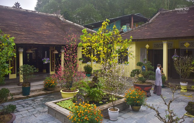 Một góc nhỏ chùa Bảo Lâm tràn ngập sắc hoa mai, đào, mận... những ngày cuối năm