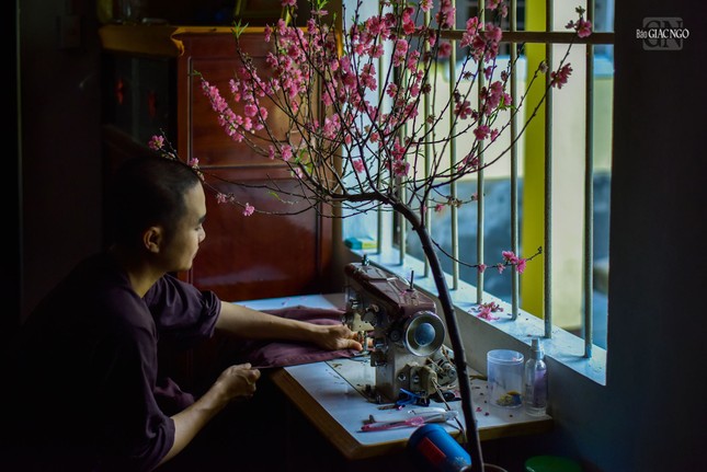 Sắc đào bên khung cửa sổ