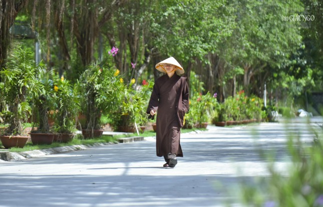 Sau giờ nghỉ trưa, các hành giả cùng nhau trở về Thư viện Trí Quảng thuộc Học viện Phật giáo VN tại TP.HCM để học tập, nghiên cứu kinh điển