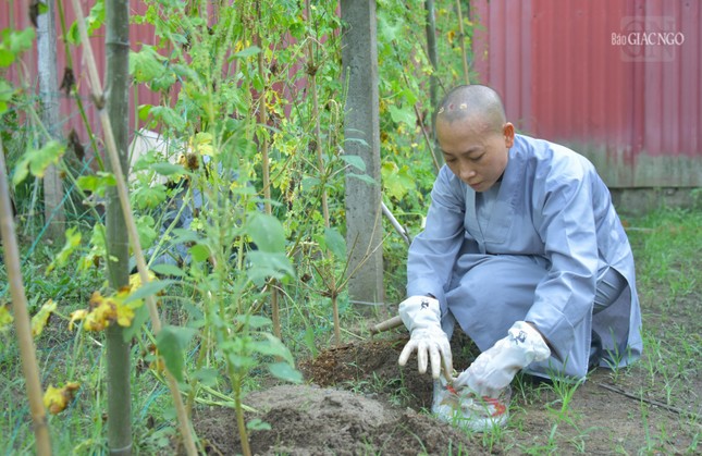 Tất cả theo tinh thần tự túc, tự cung, tự cấp