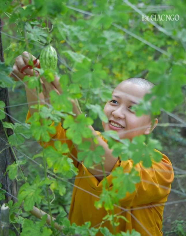 Niềm vui thu hoạch