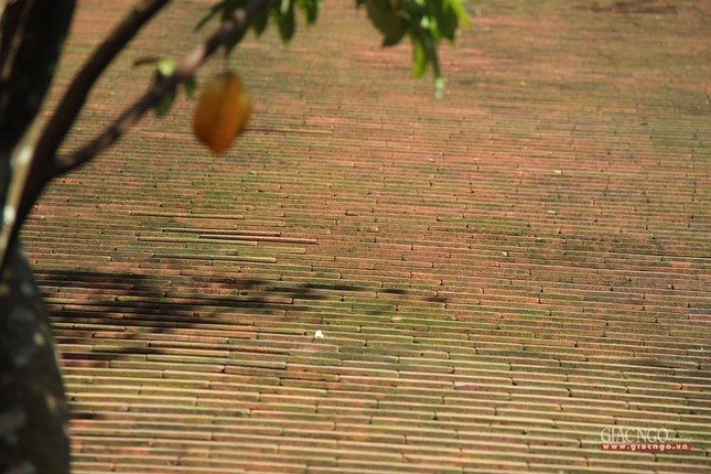 Mái chùa được lợp bằng ngói liệt truyền thống Huế bắt đầu nhuốm màu rêu phong