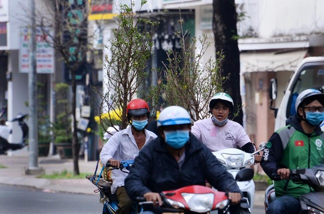 Cảnh ít tập nập như năm trước Cảnh ít tập nập như năm trước