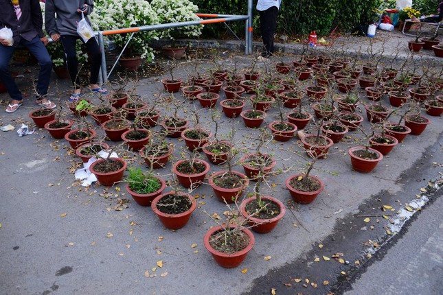 Nhiều điểm có người bán những vắng người mua Nhiều điểm có người bán những vắng người mua