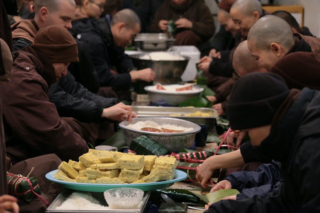 Ở đây trồng hơn cả ngàn cây mai