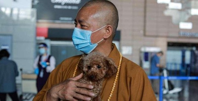 Nhiều người ở Trung Quốc nuôi chó mèo làm thú cưng theo thị hiếu, rồi bỏ rơi chúng khi không còn thích nữa Nhiều người ở Trung Quốc nuôi chó mèo làm thú cưng theo thị hiếu, rồi bỏ rơi chúng khi không còn thích nữa