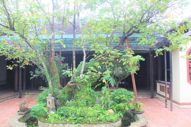 Cây khế sau hậu Tổ