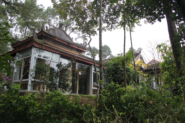 Thất Lắng Nghe yên tĩnh trong ngày xuân