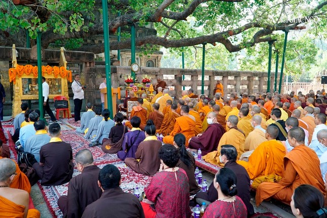 Buổi lễ có sự tham dự của chư Tăng quốc tế do Ban Quản trị Bồ Đề Đạo Tràng tổ chức nhân Đức Pháp chủ GHPGVN quang lâm chiêm bái Phật tích