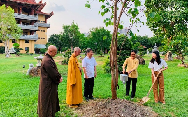 Cây được dưỡng lớn ở Hà Nội, và được chuyển vào TP.HCM trồng tại khu vườn A Di Đà trong khuôn viên chùa Huê Nghiêm Cây được dưỡng lớn ở Hà Nội, và được chuyển vào TP.HCM trồng tại khu vườn A Di Đà trong khuôn viên chùa Huê Nghiêm