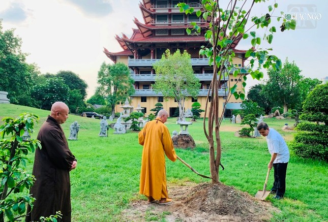Cây Bồ-đề này được dưỡng từ một nhánh chiết từ cội Bồ-đề ở Ấn Độ Cây Bồ-đề này được dưỡng từ một nhánh chiết từ cội Bồ-đề ở Ấn Độ