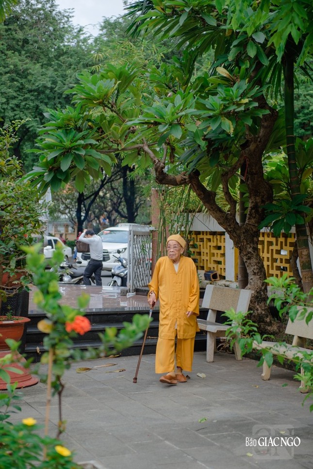 &quot;Mùa xuân là mùa hướng từ cách nghĩ và ứng xử...&quot; - Ảnh: Đăng Huy