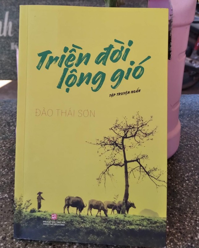 Triền đời lộng gió của Đào Thái Sơn