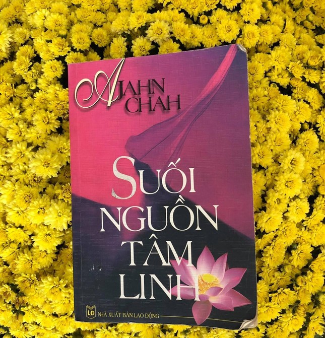 Cuốn sách cũ mà tôi rất quý - Ảnh: Lê Văn Hiến Cuốn sách cũ mà tôi rất quý - Ảnh: Lê Văn Hiến