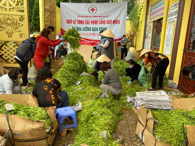 Rau củ quả được tập trung phân loại chuyển đến các tỉnh thành khó khăn do Covid-19 Rau củ quả được tập trung phân loại chuyển đến các tỉnh thành khó khăn do Covid-19