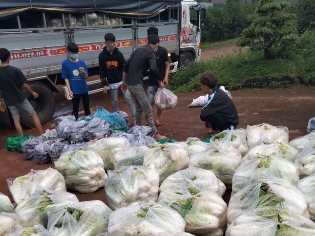 Vận chuyển rau củ lên xe để tặng bà con Bình Dương