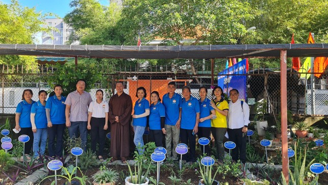 Trồng 71 loại cây thuốc Nam tại vườn ươm chùa An Hòa Trồng 71 loại cây thuốc Nam tại vườn ươm chùa An Hòa