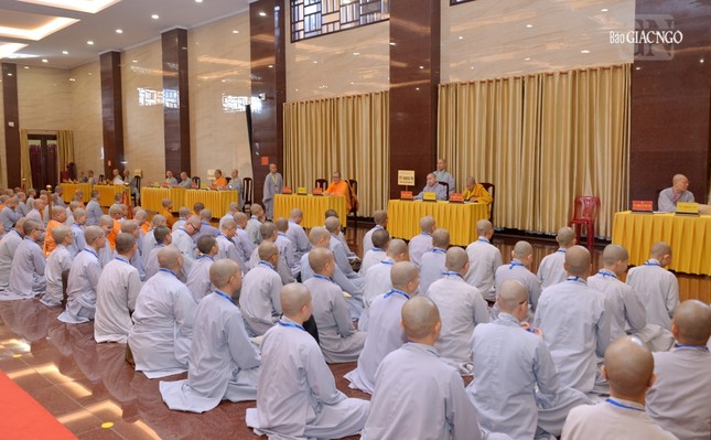 Khu vực giới tử Ni