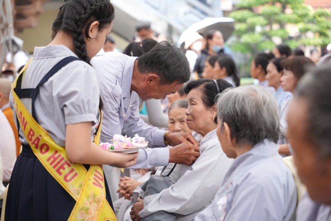 Cài hoa hồng Vu lan Cài hoa hồng Vu lan