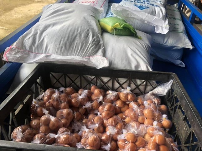 Gạo và trứng - Ảnh: MG