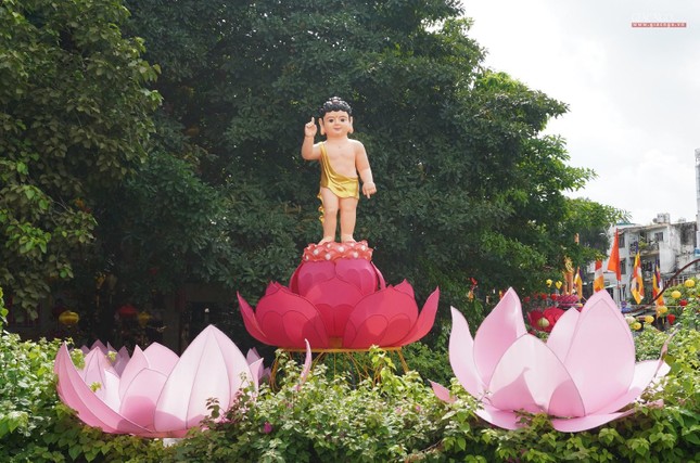 Ngài xuất hiện ở đời, thế giới reo vui, tin lành đến vạn nẻo