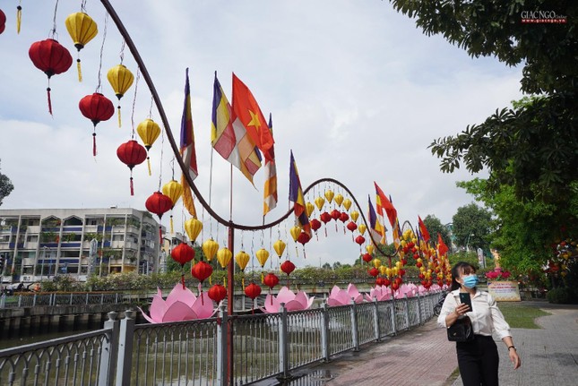 Cờ, hoa rộn ràng