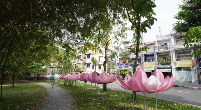 Hoa sen được thiết trí phía đường Trường Sa