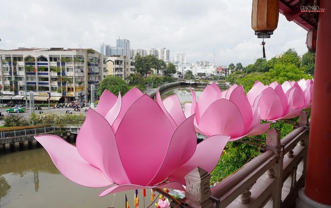 Hoa sen &quot;nở rộ&quot; bên dòng kênh Nhiêu Lộc