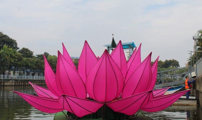 Hoa sen hồng trên dòng Kênh Nhiêu Lộc