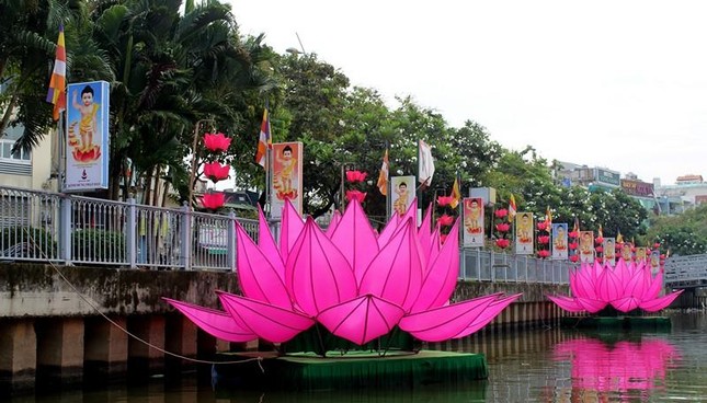 Các hoa sen hạ thủy chuẩn bị đưa ra định vị giữa dòng kênh