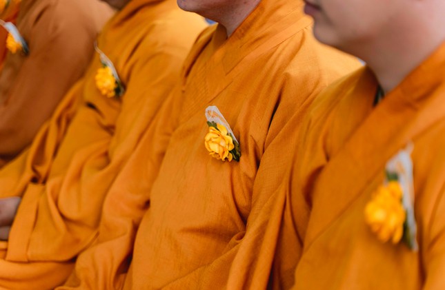 Hoa hồng vàng trên áo chư Tăng Ni