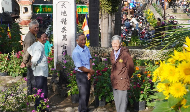 Phật tử tham quan và ngắm xuân về nơi cửa thiền