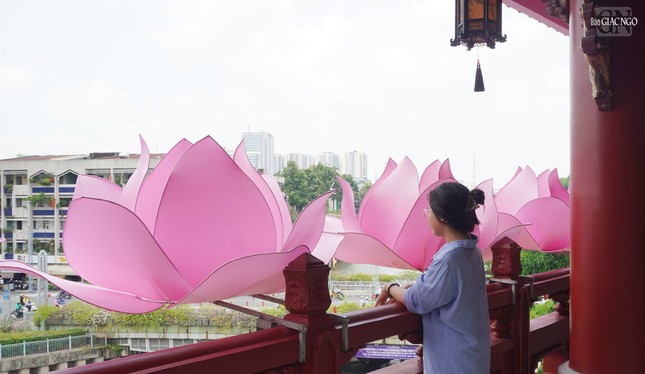 Phật tử lắng lòng cùng sen tháng Tư