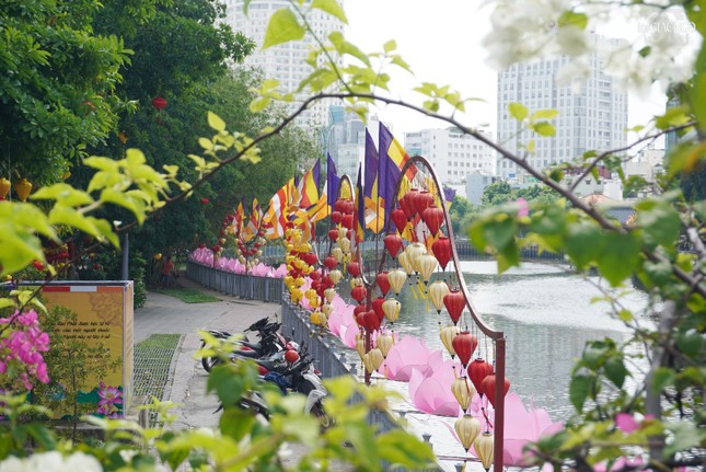 Rực rỡ cờ Phật giáo, hoa sen, lồng đèn
