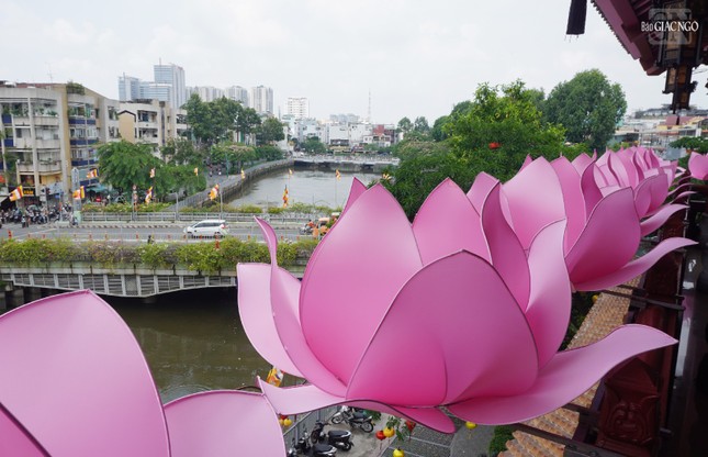 Hoa sen được thiết trí trước chánh điện