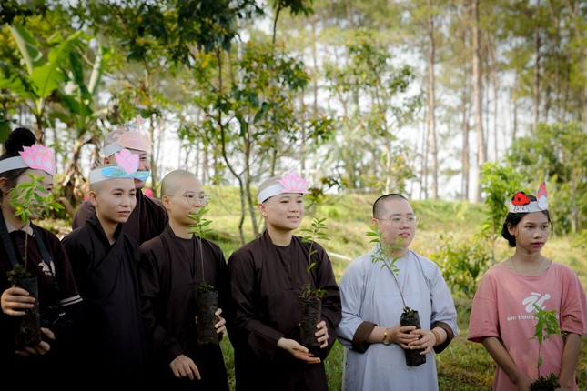 Trồng cây chiên đàn Trồng cây chiên đàn