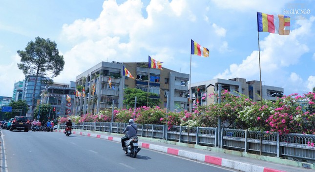 Cờ Phật giáo tung bay phất phới