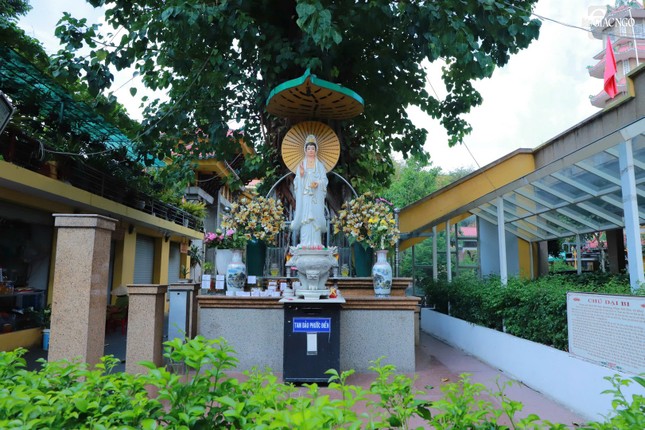 Chùa Xá Lợi có một không gian yên tĩnh, để mọi người sau khi lễ Phật có thể tìm chỗ đọc sách, vãn cảnh... tìm thấy sự cân bằng tâm hồn giữa cuộc sống nơi chốn phồn hoa đô hội