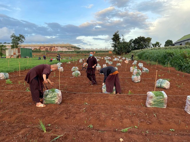 Chư Tăng, Ni hoan hỷ phụ một tay