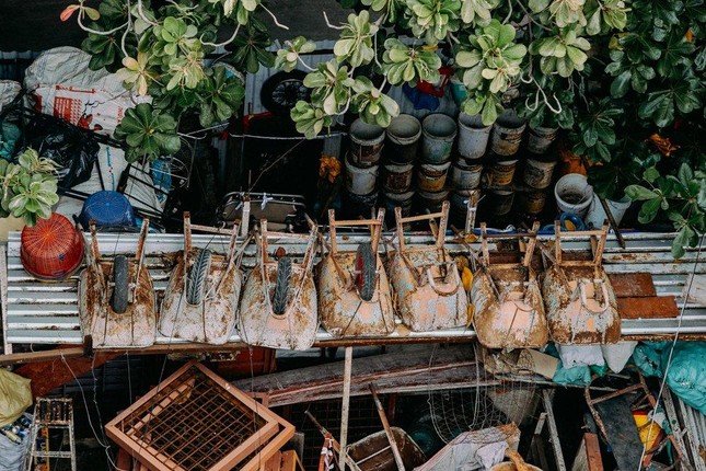 Tại một công trường, những chiếc xe rùa cũng tạm được &quot;nghỉ ngơi&quot;