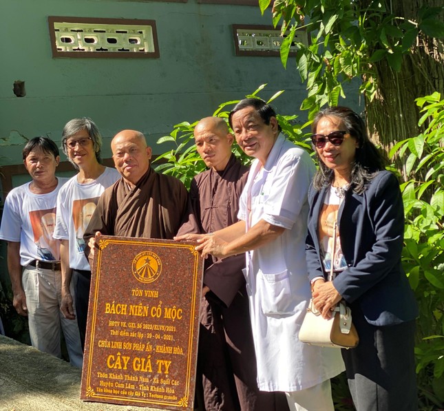 Thượng tọa Thích Tâm Niệm, trụ trì chùa Linh Sơn Pháp Ân tiếp nhân bia công nhận "Bách niên cổ mộc" cho cây giá tỵ được trồng trong khuôn viên chùa Thượng tọa Thích Tâm Niệm, trụ trì chùa Linh Sơn Pháp Ân tiếp nhân bia công nhận "Bách niên cổ mộc" cho cây giá tỵ được trồng trong khuôn viên chùa