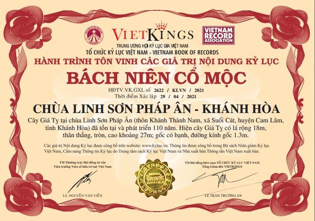 Bằng xác lập kỷ lục "Bách niên cổ mộc" - Cây giá tỵ ở chùa Linh Sơn Pháp Ân (tỉnh Khánh Hòa) Bằng xác lập kỷ lục "Bách niên cổ mộc" - Cây giá tỵ ở chùa Linh Sơn Pháp Ân (tỉnh Khánh Hòa)