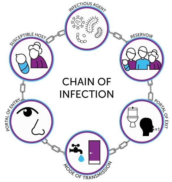 Ảnh: Munglobal Ảnh: Munglobal
