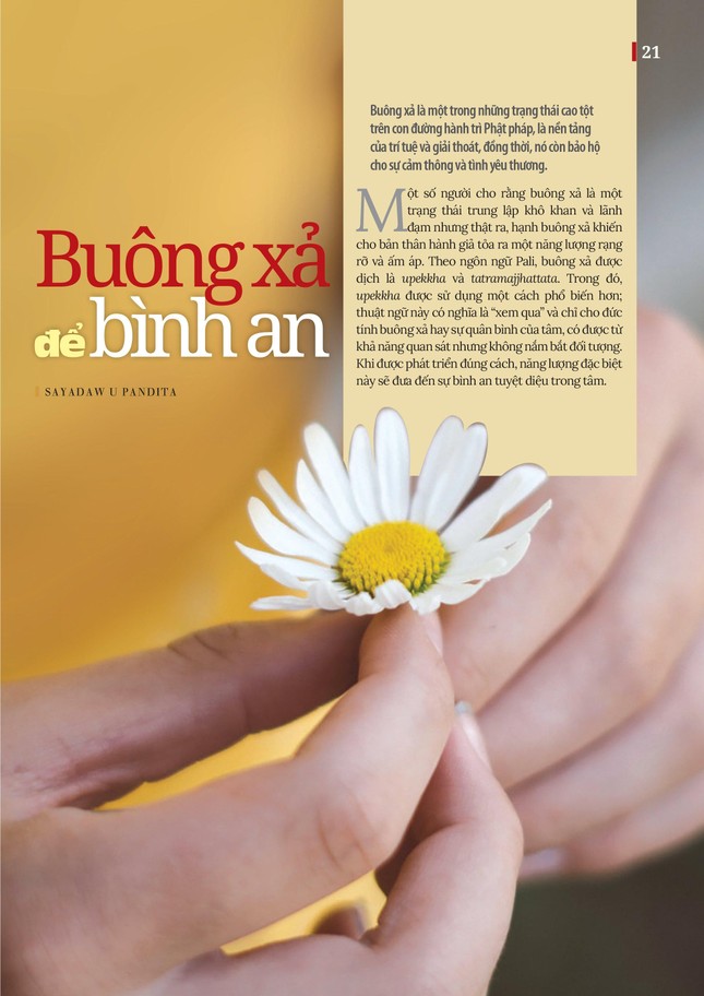 Bài trên Báo Giác Ngộ số 1137 - Thiết kế: Phòng Mỹ thuật BGN/Tống Viết Diễn Bài trên Báo Giác Ngộ số 1137 - Thiết kế: Phòng Mỹ thuật BGN/Tống Viết Diễn