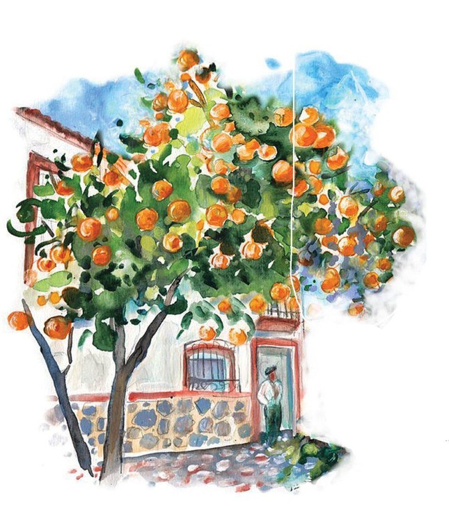 Ảnh minh họa - Nhuận Thường Ảnh minh họa - Nhuận Thường